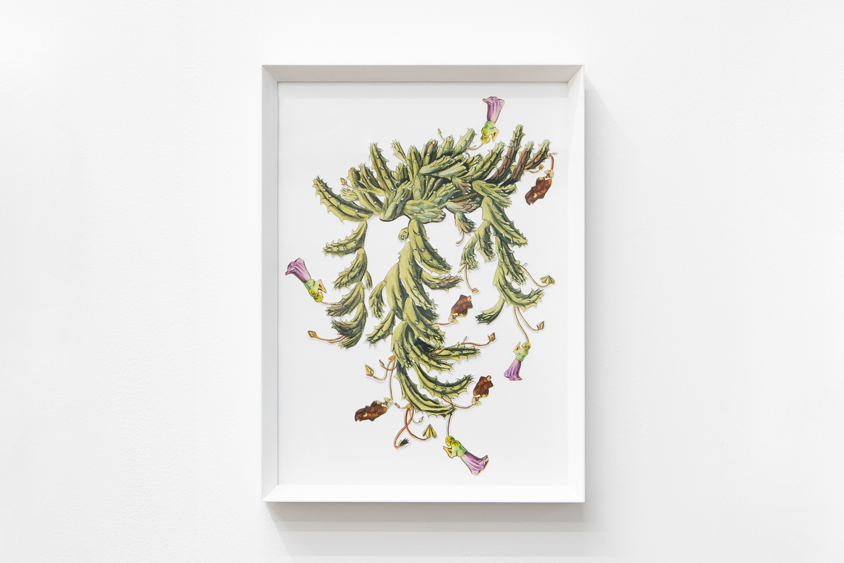 Angelo Formica, Senta titolo, collage, 2020-2022, Galleria Toselli