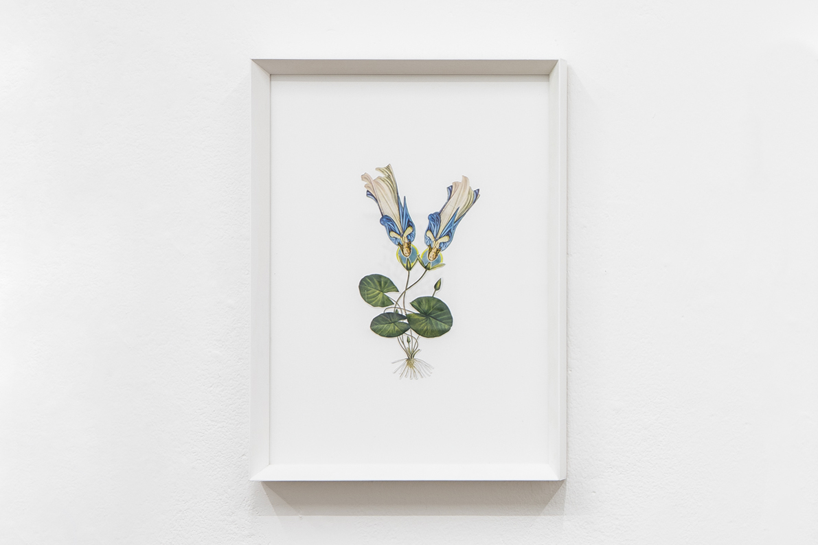 Angelo Formica, Senta titolo, collage, 2020-2022, Galleria Toselli