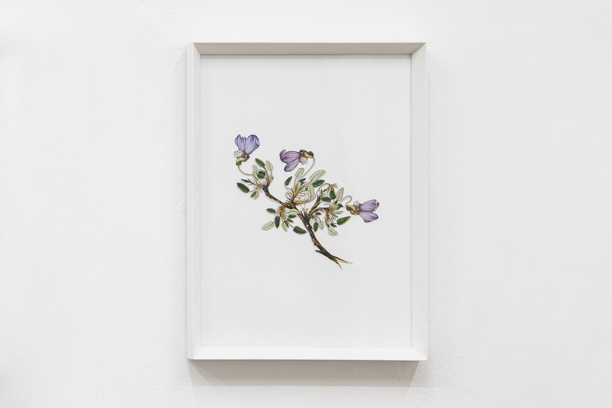 Angelo Formica, Senta titolo, collage, 2020-2022, Galleria Toselli
