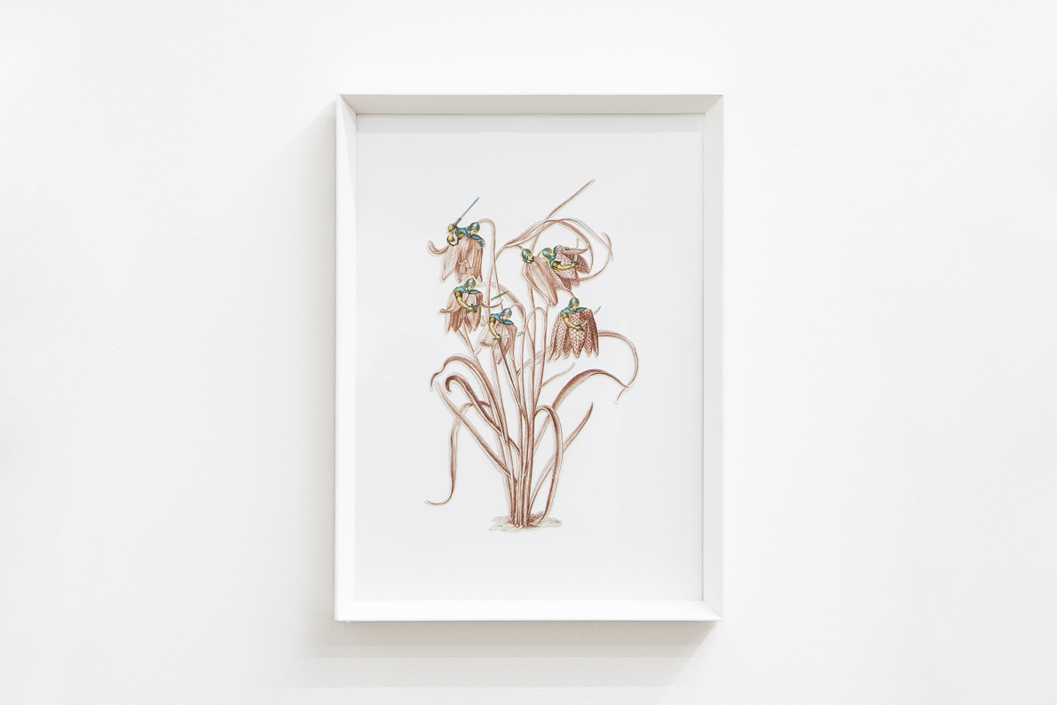 Angelo Formica, Senta titolo, collage, 2020-2022, Galleria Toselli